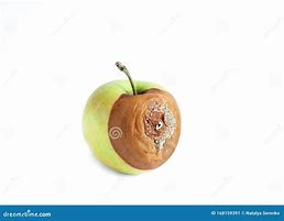 Image result for Rotten Green Apple