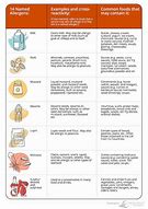Image result for Food Allergy Chart