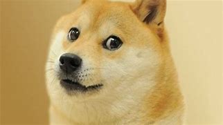 Image result for Roblox Doge Cute
