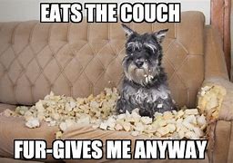 Image result for Dog Food Meme