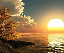 Image result for Yellow Sunset Screen