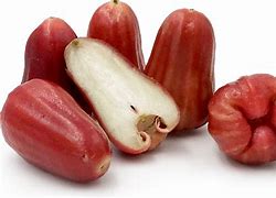 Image result for Wax Apple