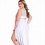 Image result for Plus Size Dresses with Sheer Overlay