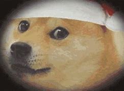 Image result for Doge with Roblox Man Face