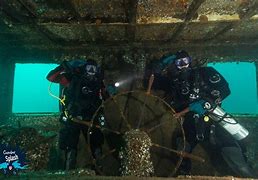 Image result for Tobermory Scuba Diving
