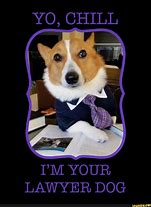 Image result for Lawyer Dog Meme