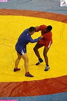 Image result for Sambo Fighting Style