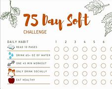 Image result for 75 Day Soft Planner