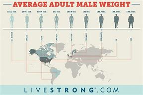 Image result for Adult Male Height and Weight Chart