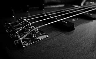 Image result for Spector Bass Guitar
