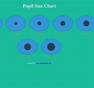 Image result for How Big Is 6Mm Pupil