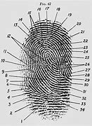 Image result for Fingerprint Investigation