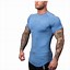 Image result for Fitted T-Shirts for Men
