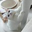 Image result for All White Munchkin Cat