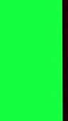 Image result for Green Screen Background Effects