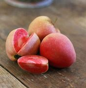 Image result for Pink Pearl Apple Tree