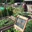 Image result for 25 Square Meters Allotment Rod