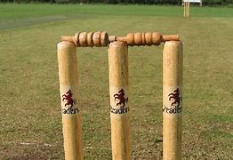 Image result for Flat Wicket
