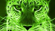 Image result for Neon Green iPhone Wallpaper