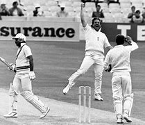 Image result for 1979 Cricket World Cup Ian Botham Celebration