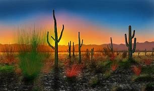 Image result for Desert Digital Art