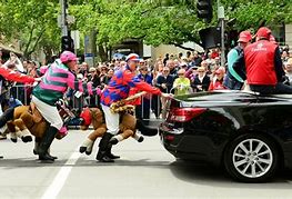 Image result for Melbourne Cup Winners