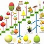Image result for Growing Dwarf Fruit Trees