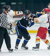 Image result for Hockey Fights Injuries