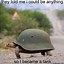 Image result for Tortoise Tank Meme
