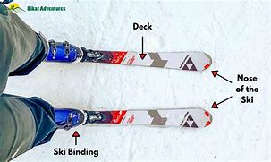 Image result for Parts of Skis