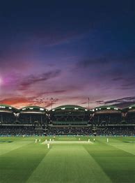 Image result for Cricket Ground Pitch