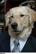 Image result for Dog Tie Meme