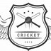 Image result for Cricket Tournament Logo