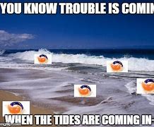 Image result for Brown Tide Meme