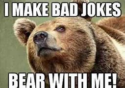 Image result for Bear Meme