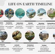 Image result for Planet Earth Timeline