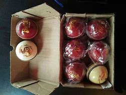 Image result for Cricket Items