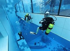 Image result for Deep Swimming Retreival
