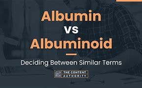 Image result for albuninoide