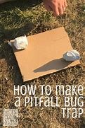 Image result for Bug Trap for Kids