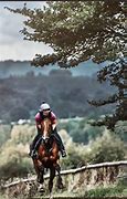 Image result for Horse Racing Aesthetic