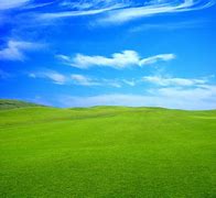 Image result for Grass Land Blue Sky Wallpaper