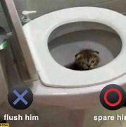 Image result for Kitten in Toilet Meme