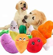 Image result for Toys for Puppies