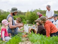 Image result for Community Supported Agriculture