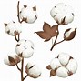 Image result for Cotton Ball Clip Art