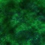 Image result for Galaxy 53 Green