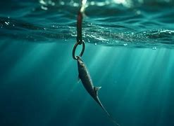 Image result for Fishing Hook in Water