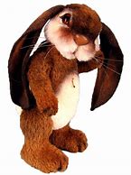 Image result for bonzo bunny clothing