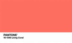 Image result for Coral Pink RGB